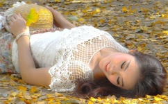 久久免费看少妇高潮A片特无毒